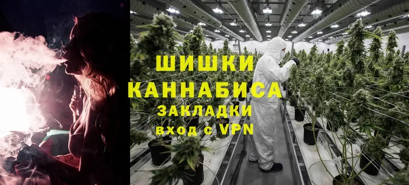 где продают   Дубовка  Каннабис White Widow 